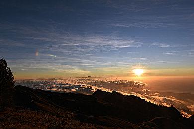 《吸血鬼幸存者》联动《恶魔城》DLC万圣节上线